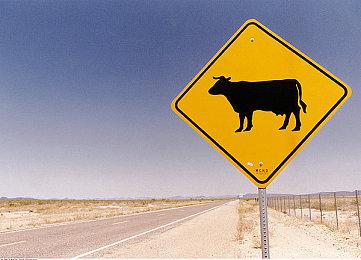 任天堂Switch 2首发《欢迎之旅》的开发商信息已披露